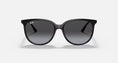 Load image into Gallery viewer, Ray Ban 4378
