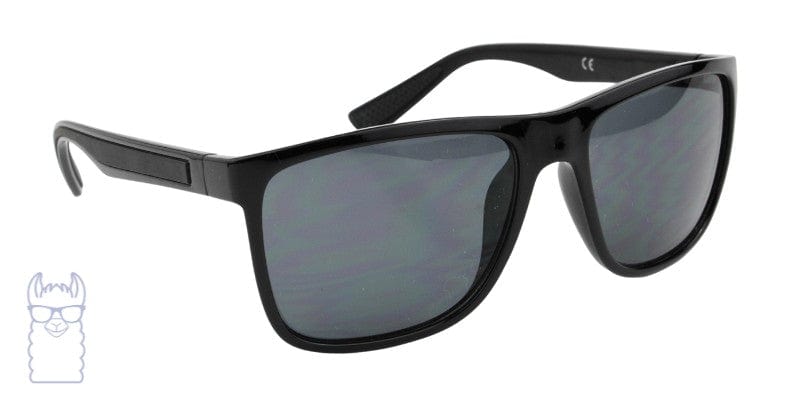 summer 2001 rx sunglasses EC ORIGINALS eyewear lentes de sol estilo wayfarer negro