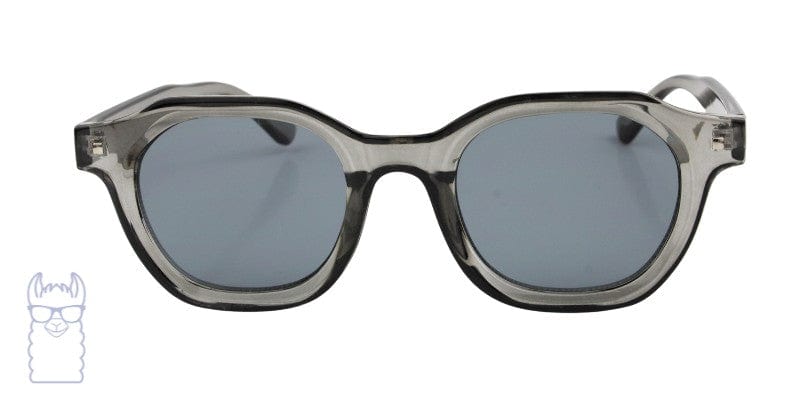 summer 55 rx sunglasses EC ORIGINALS eyewear