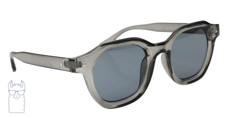 summer 55 rx sunglasses EC ORIGINALS eyewear