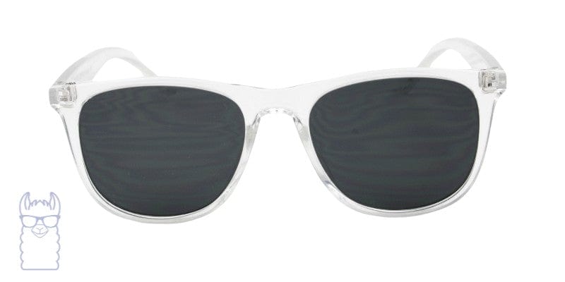 SUMMER P1009 rx sunglasses EC ORIGINALS eyewear