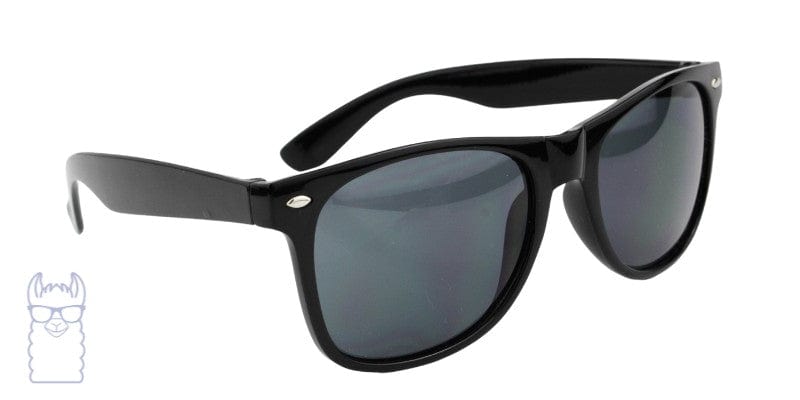 summer wayfarer style rx sunglasses EC ORIGINALS eyewear lentes de sol estilo wayfarer negro